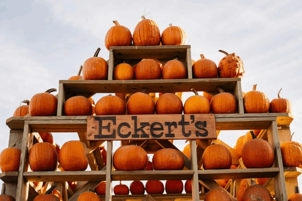 Eckert’s pick-your-own pumpkins is available at the operation's Belleville, Millstadt, and Grafton farms.