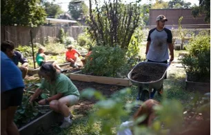 Seed St. Louis supports community and school gardens, orchards, and urban farms.