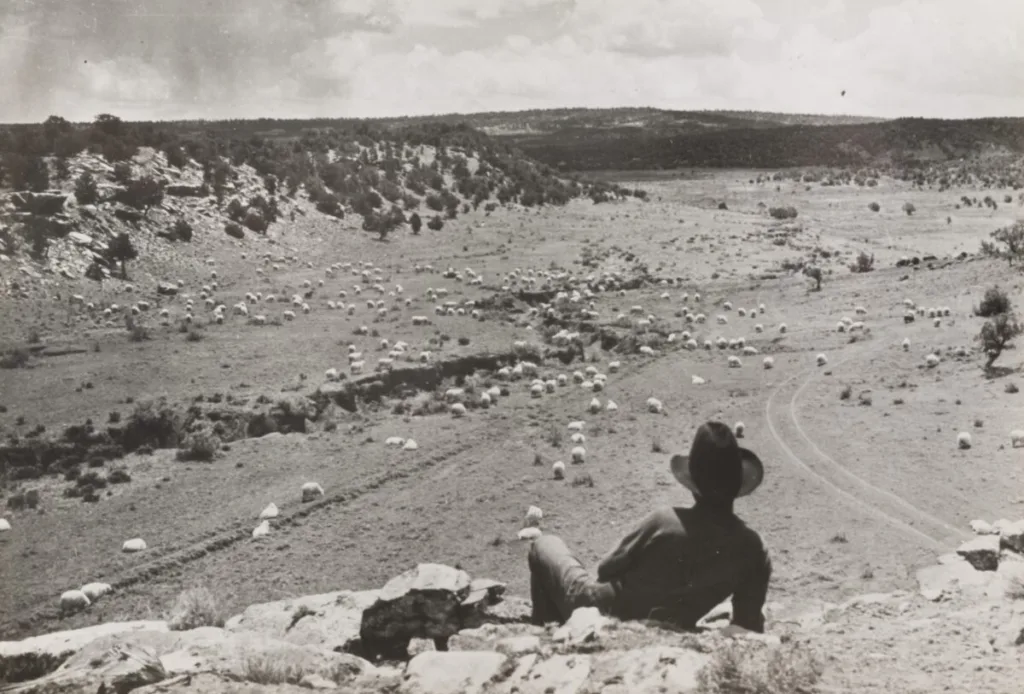 Emil Otto Hoppé's "Cowboy, Painted Desert, Arizona."