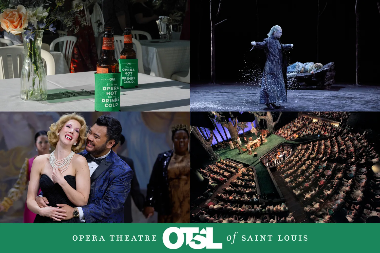 Opera Theatre Saint Louis