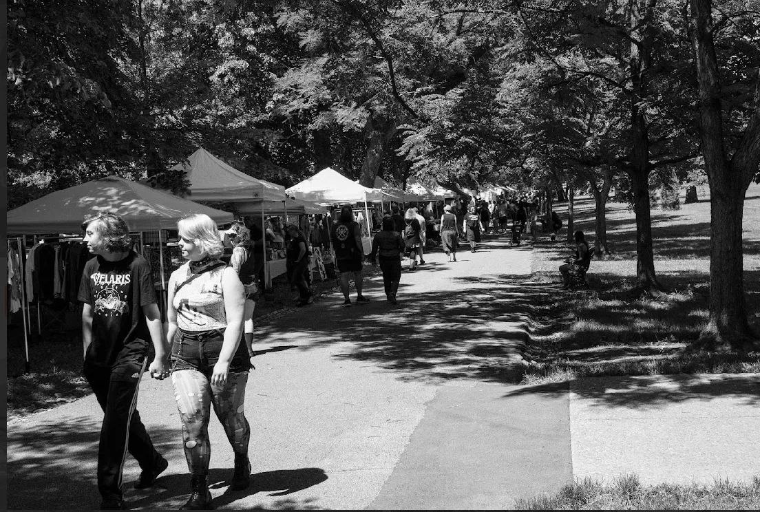 St. Louis Punk Rock Flea Market in Tower Grove Park.
