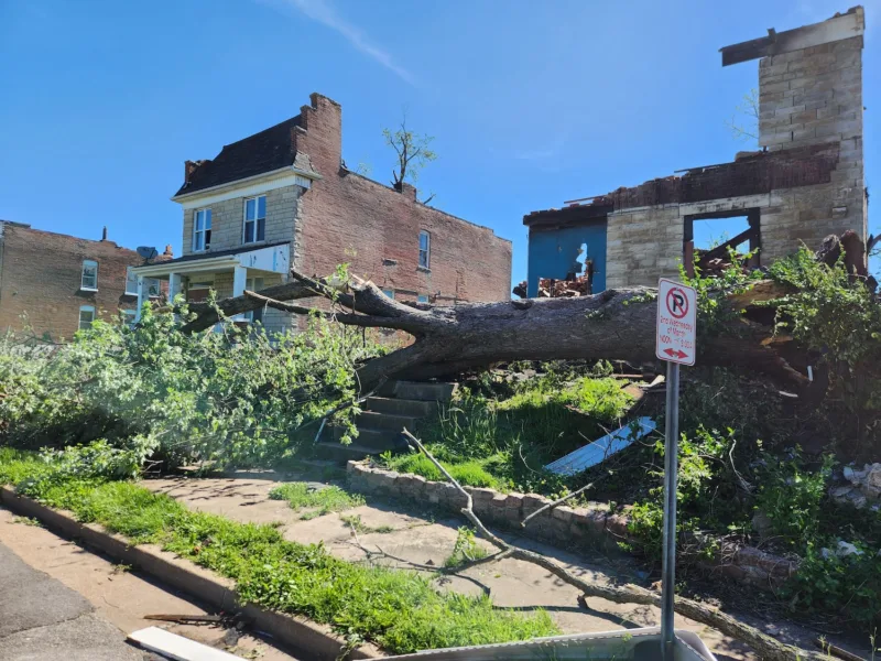 Bogus applications plague city’s tornado relief program
