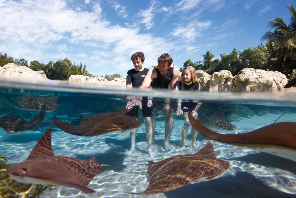 Discovery Cove in Orlando, Florida