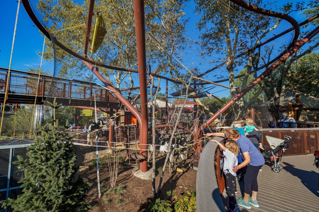 Primate Canopy Trail at the Saint Louis Zoo