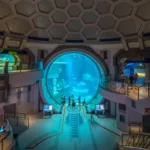 SeaWorld Abu Dhabi