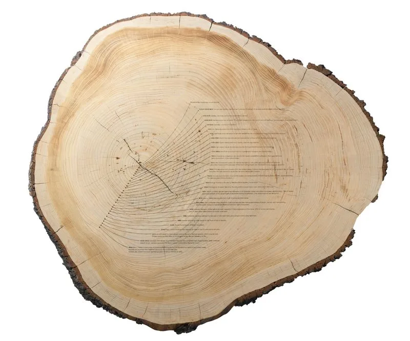 Tiffany Shlain, "Dendrofemonology: A Feminist History Tree Ring," 2022