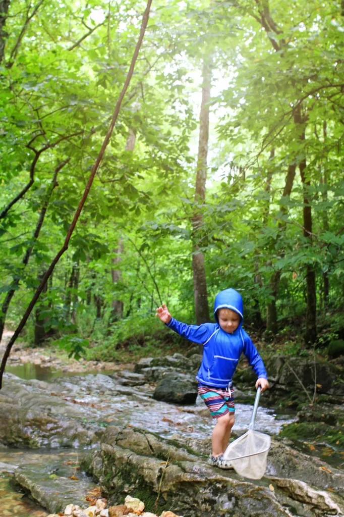 LaBarque Conservation Area Creek