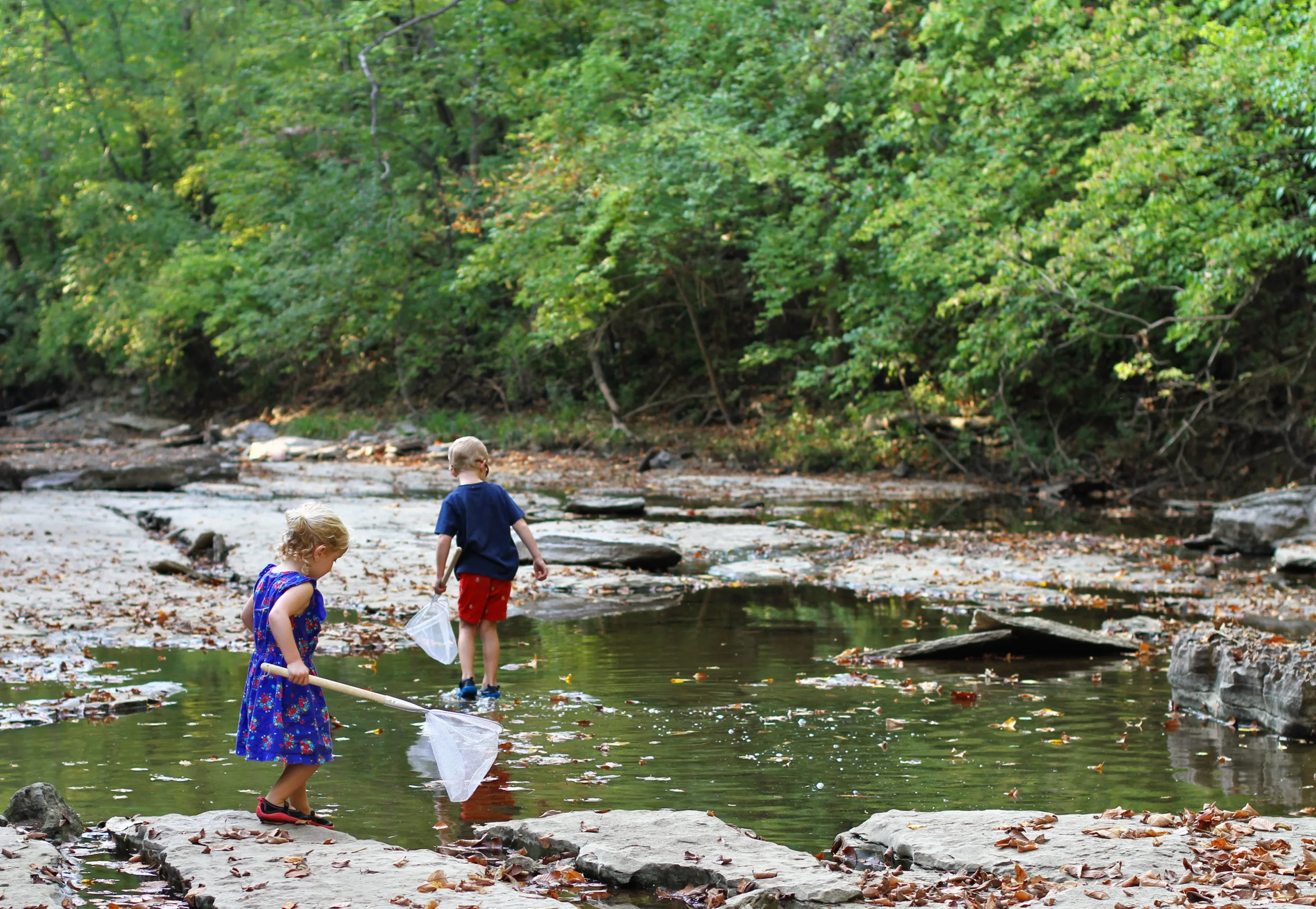 St. Francois State Park creek