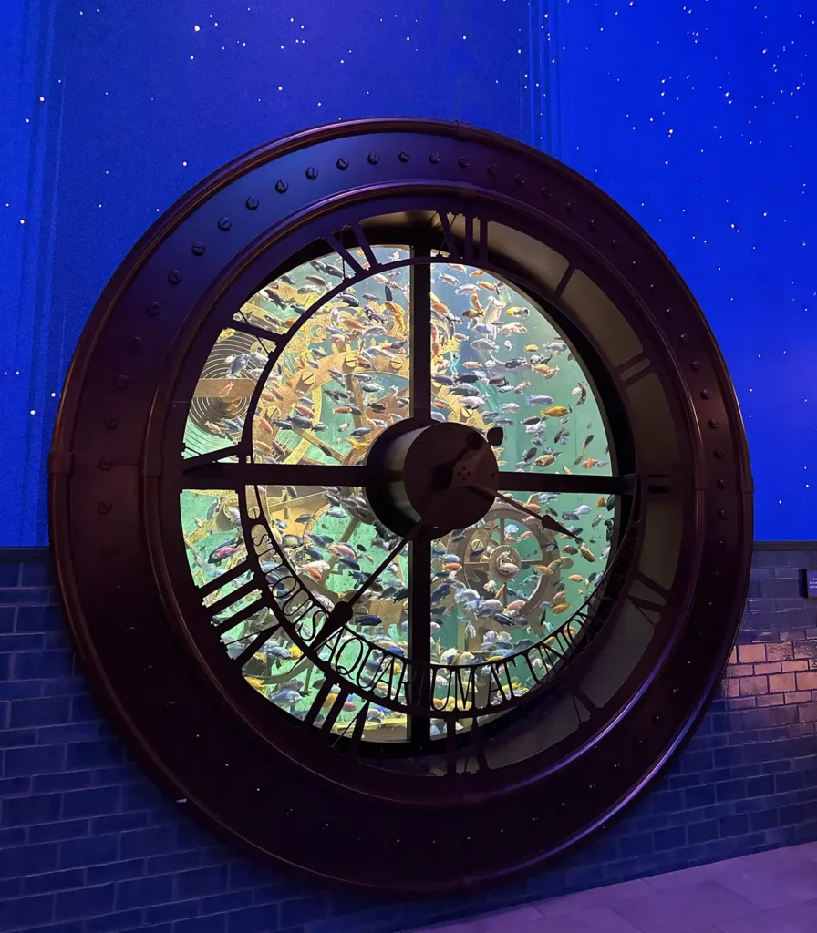 The Clock Habitat at St. Louis Aquarium, one of two mermaid habitats.