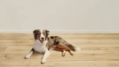 Advanced Carpet One
