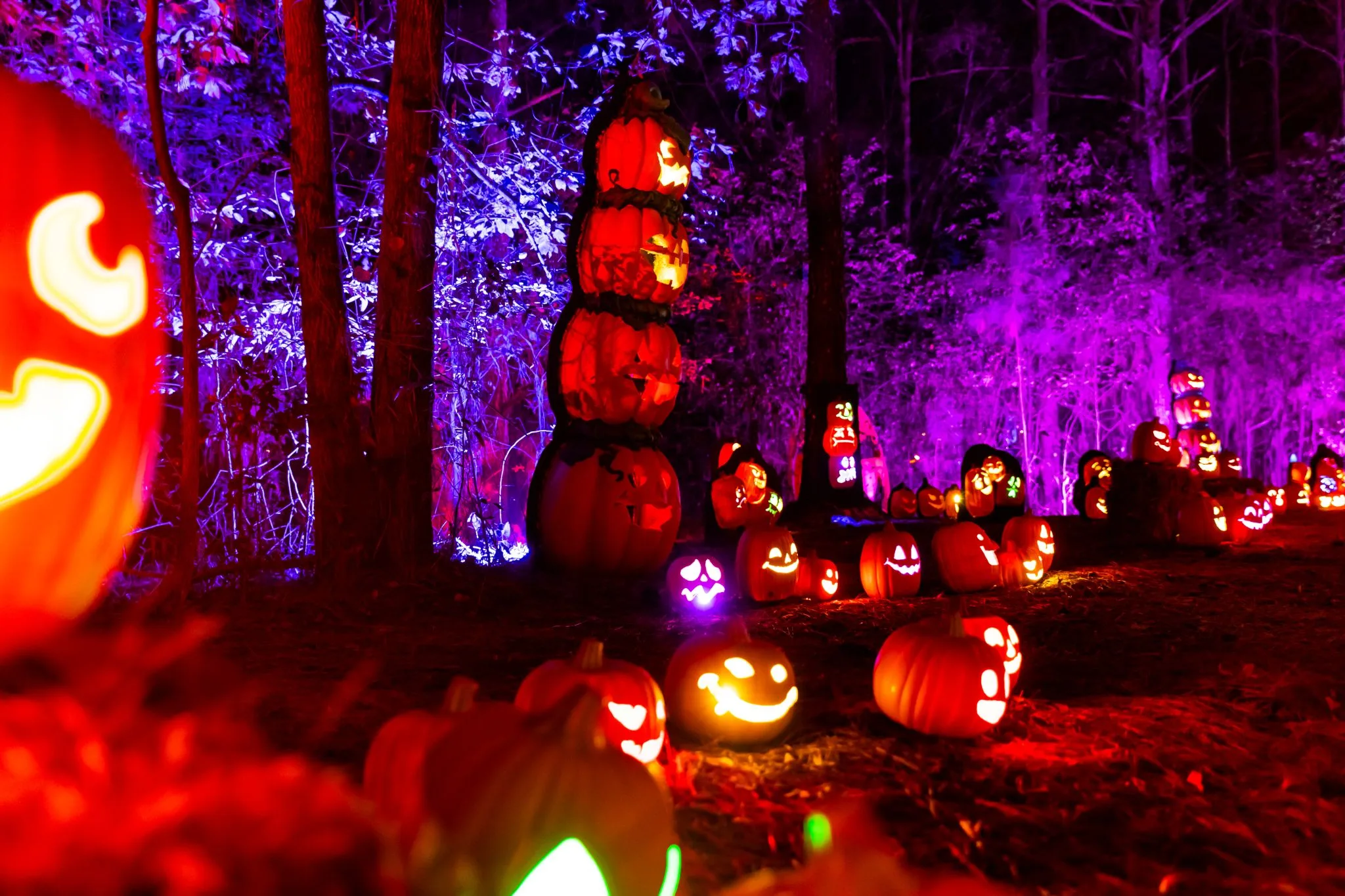 Eckert’s announces new Jack’s Lighted Trail experience