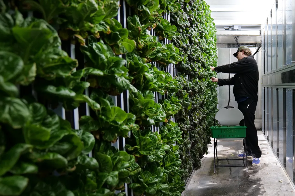 Field to Table Institute hydroponic facility