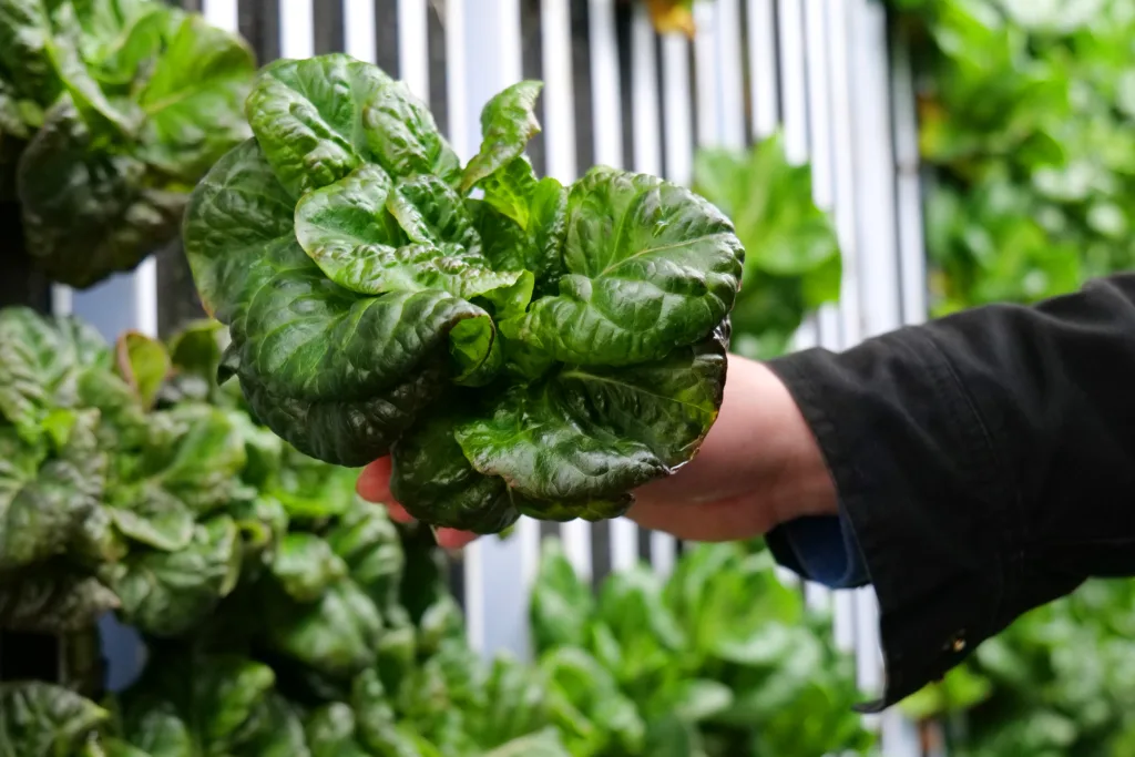 Field to Table Institute_closeup
