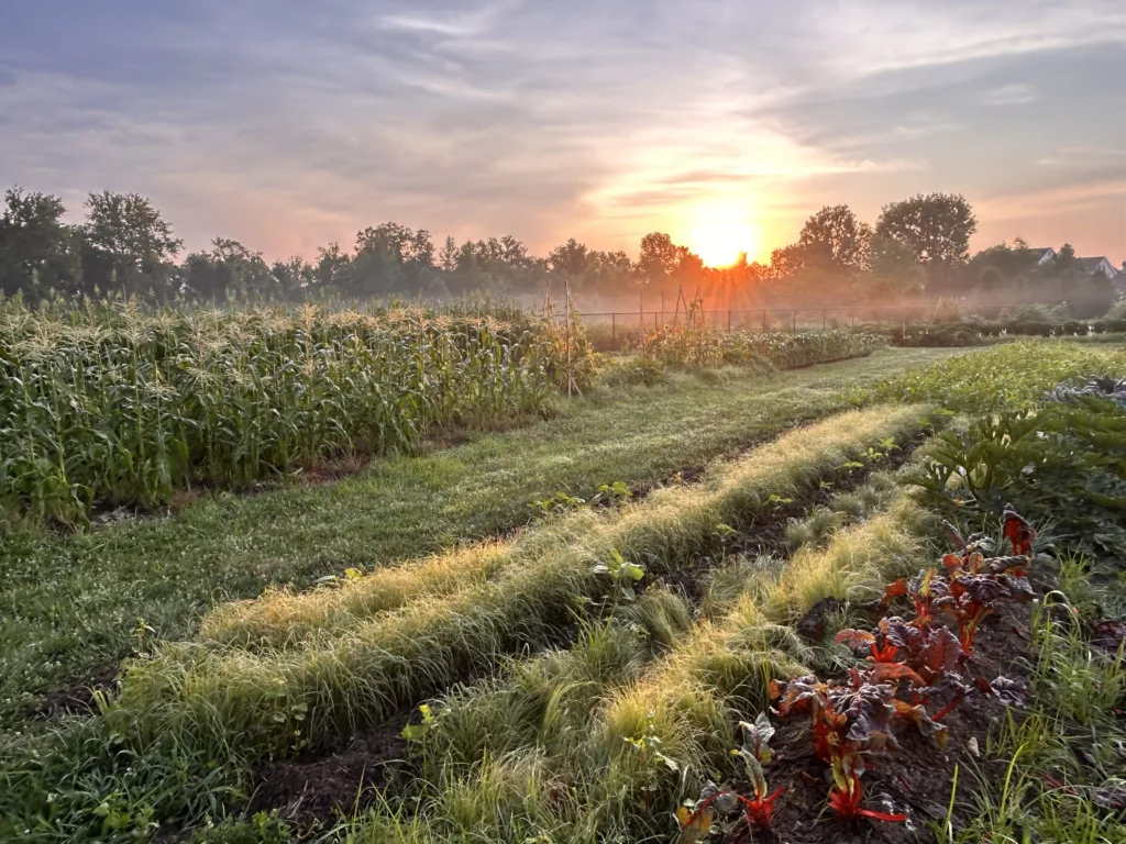 Field to Table Institute_FTTI-Sunset