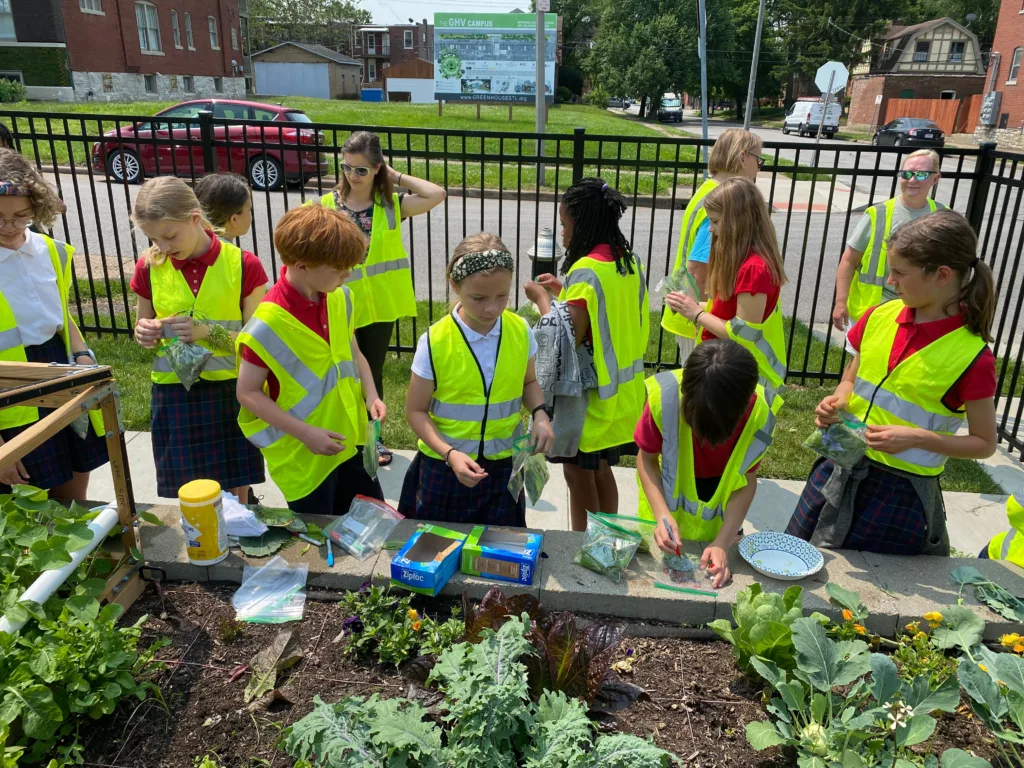 Green House Venture Embankment Study