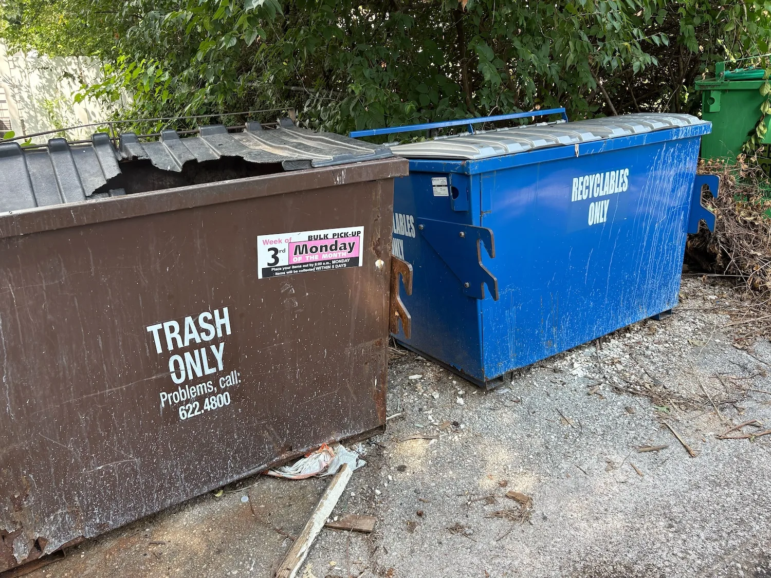 Recycling and trash bins in St. Louis city.
