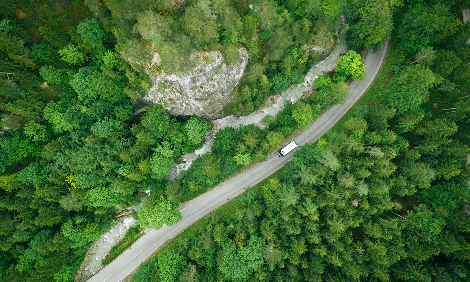 RV traveling through road in forest
