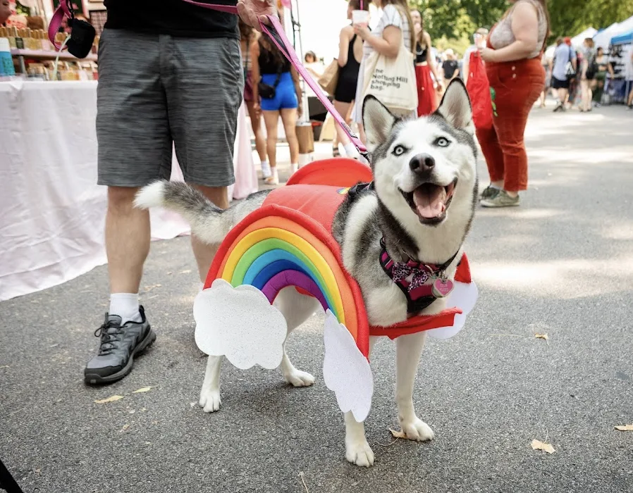 Tower Grove Pride is a pet-friendly event.