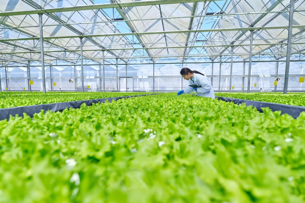Plant scientist in greenhouse