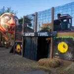 November Family Playdate at The Summit All Seasons Market
