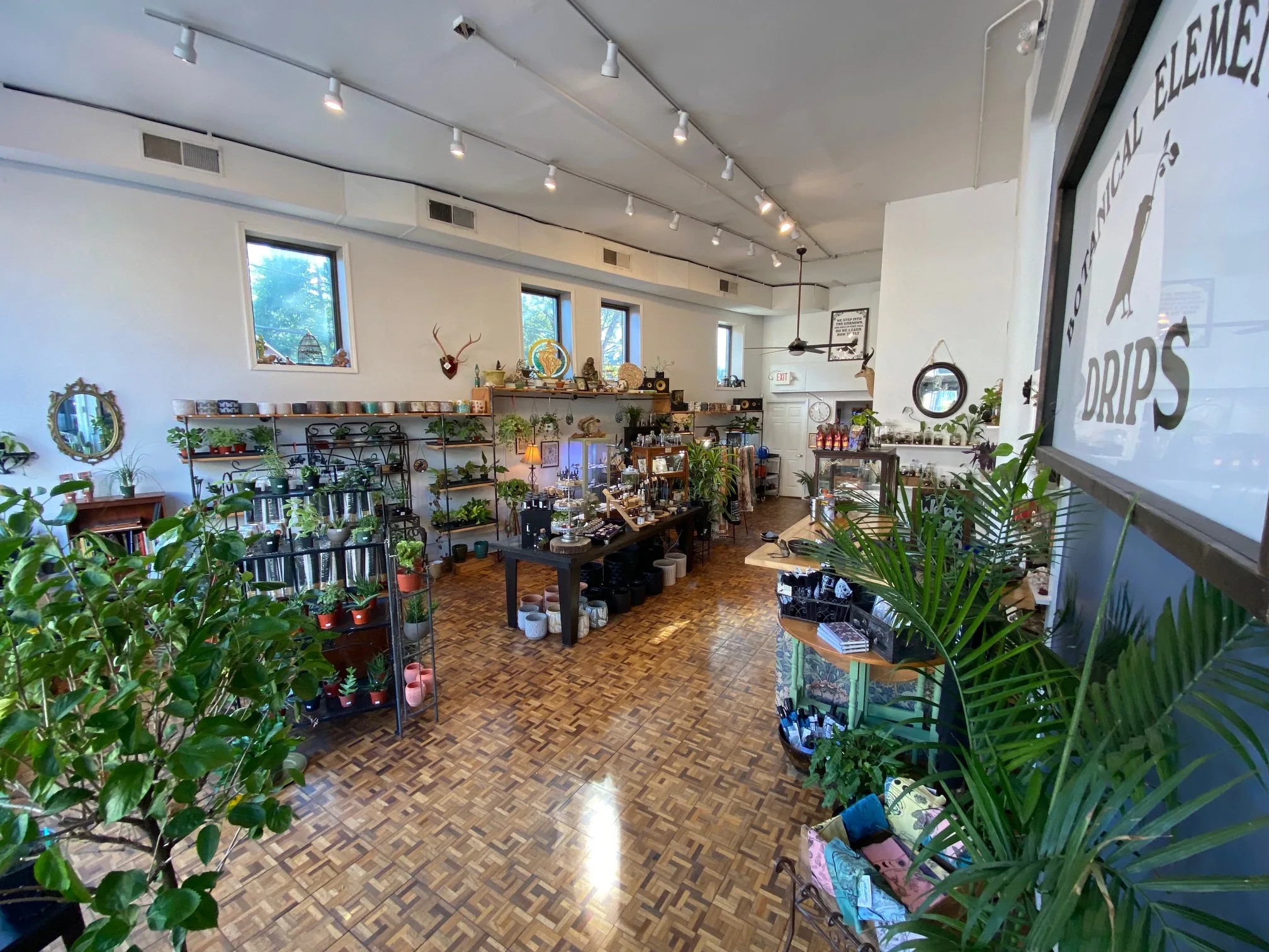 Drips Botanical Elements is located at 387 N. Euclid.