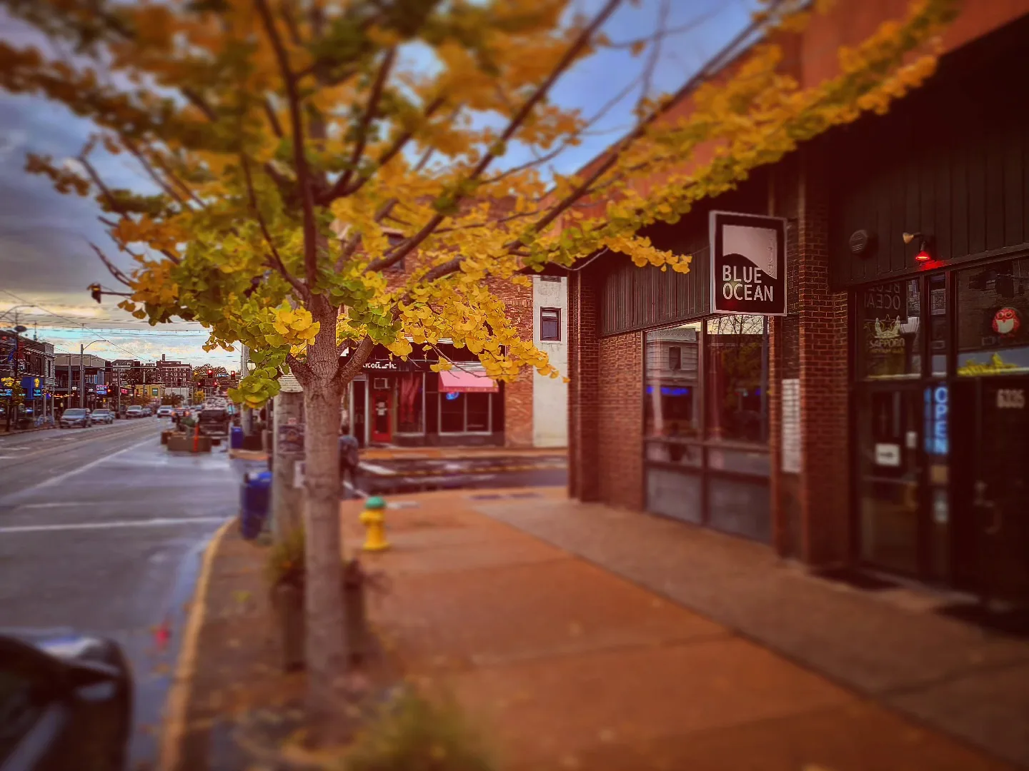 The exterior of Blue Ocean on Delmar Boulevard.
