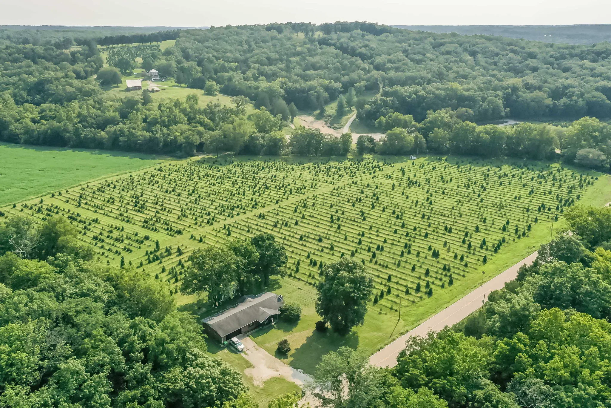 An aerial view of the Meert Tree Farm in Festus, MO