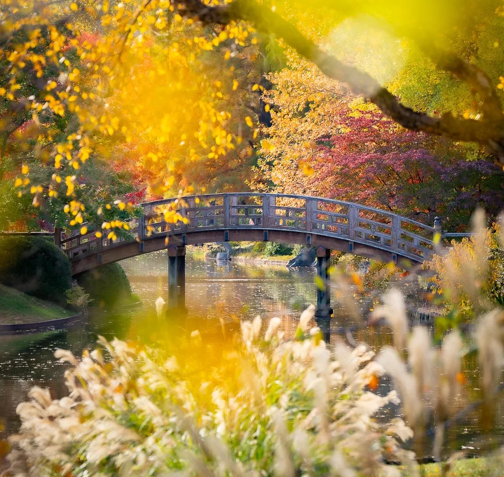 Missouri Botanical Garden in the fall