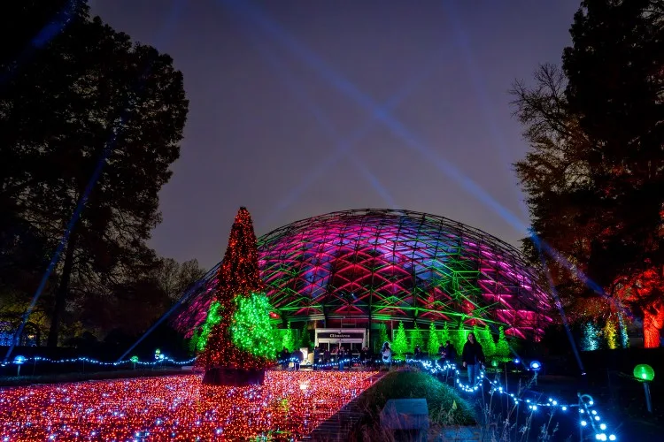 Missouri Botanical Garden's Garden Glow