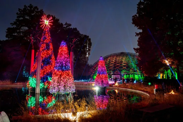Missouri Botanical Garden's Garden Glow