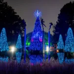 Missouri Botanical Garden's Garden Glow