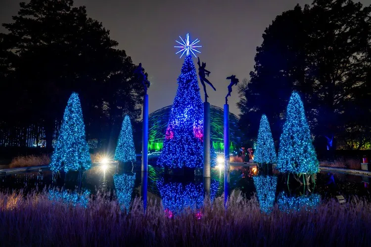 Missouri Botanical Garden's Garden Glow