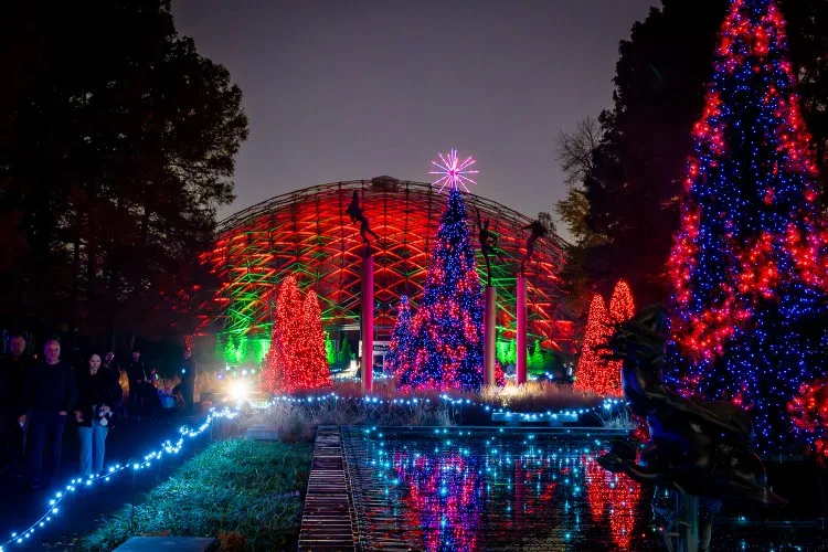 Missouri Botanical Garden's Garden Glow
