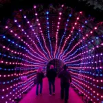 Missouri Botanical Garden's Garden Glow