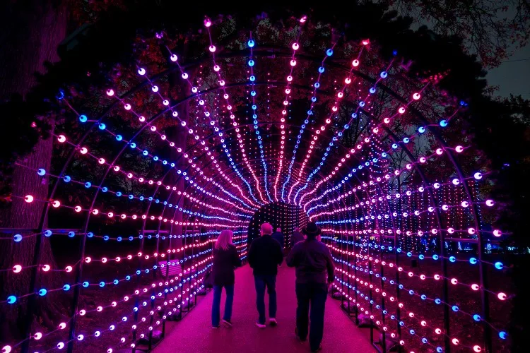 Missouri Botanical Garden's Garden Glow