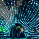 Missouri Botanical Garden's Garden Glow