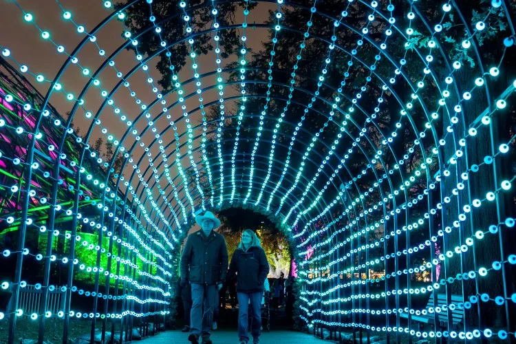 Missouri Botanical Garden's Garden Glow