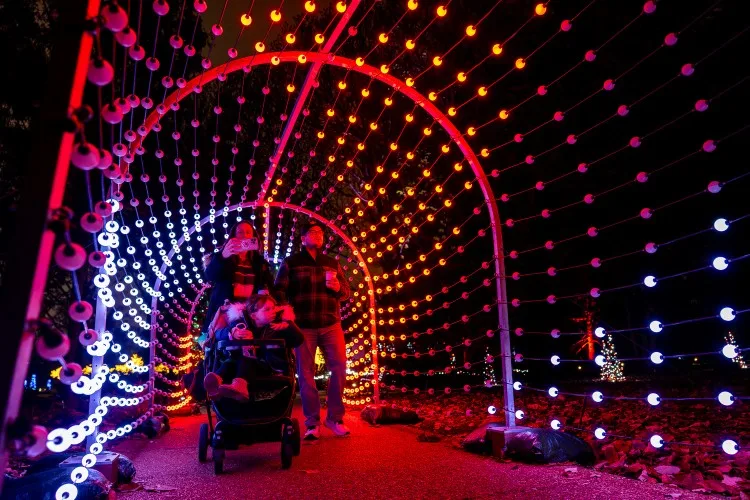 Missouri Botanical Garden's Garden Glow