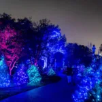 Missouri Botanical Garden's Garden Glow