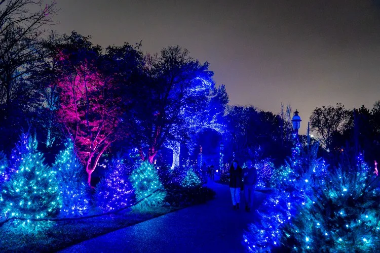 Missouri Botanical Garden's Garden Glow