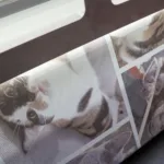 A paper with a cat image.