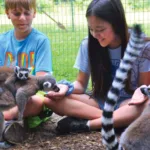 Cub Creek Science Camp