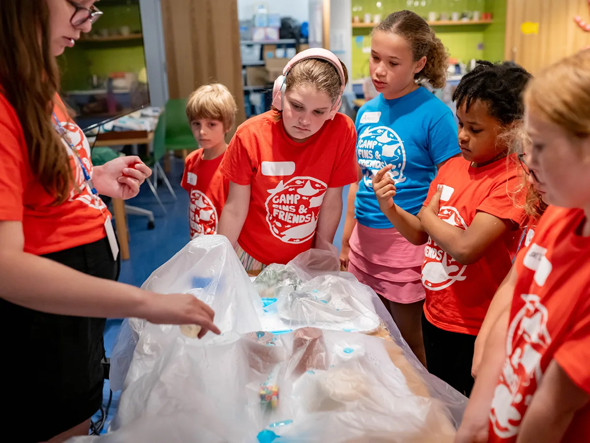 Camp Fins & Friends at St. Louis Aquarium