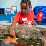 Camp Fins & Friends at St. Louis Aquarium