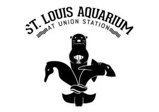 Camp Fins & Friends at St. Louis Aquarium