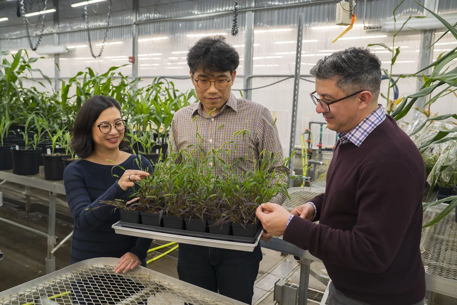 three people holding a plant tray