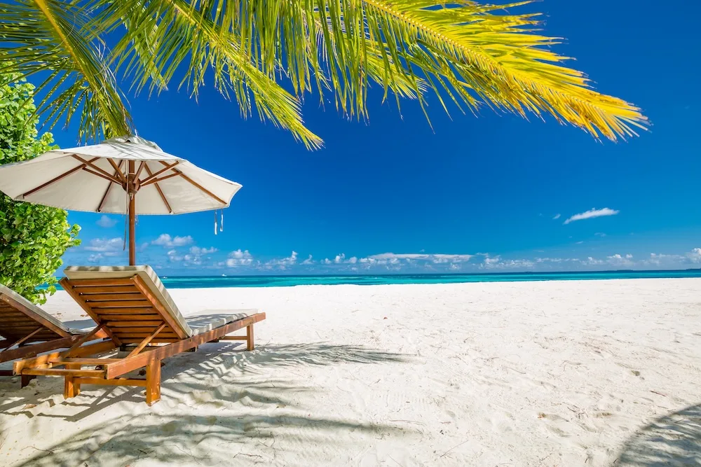 Beach chairs and a white umbrella sit beneath palm trees on a tropical beach.