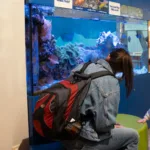 St. Louis Magazine's St. Louis Family Playdate at The Magic House