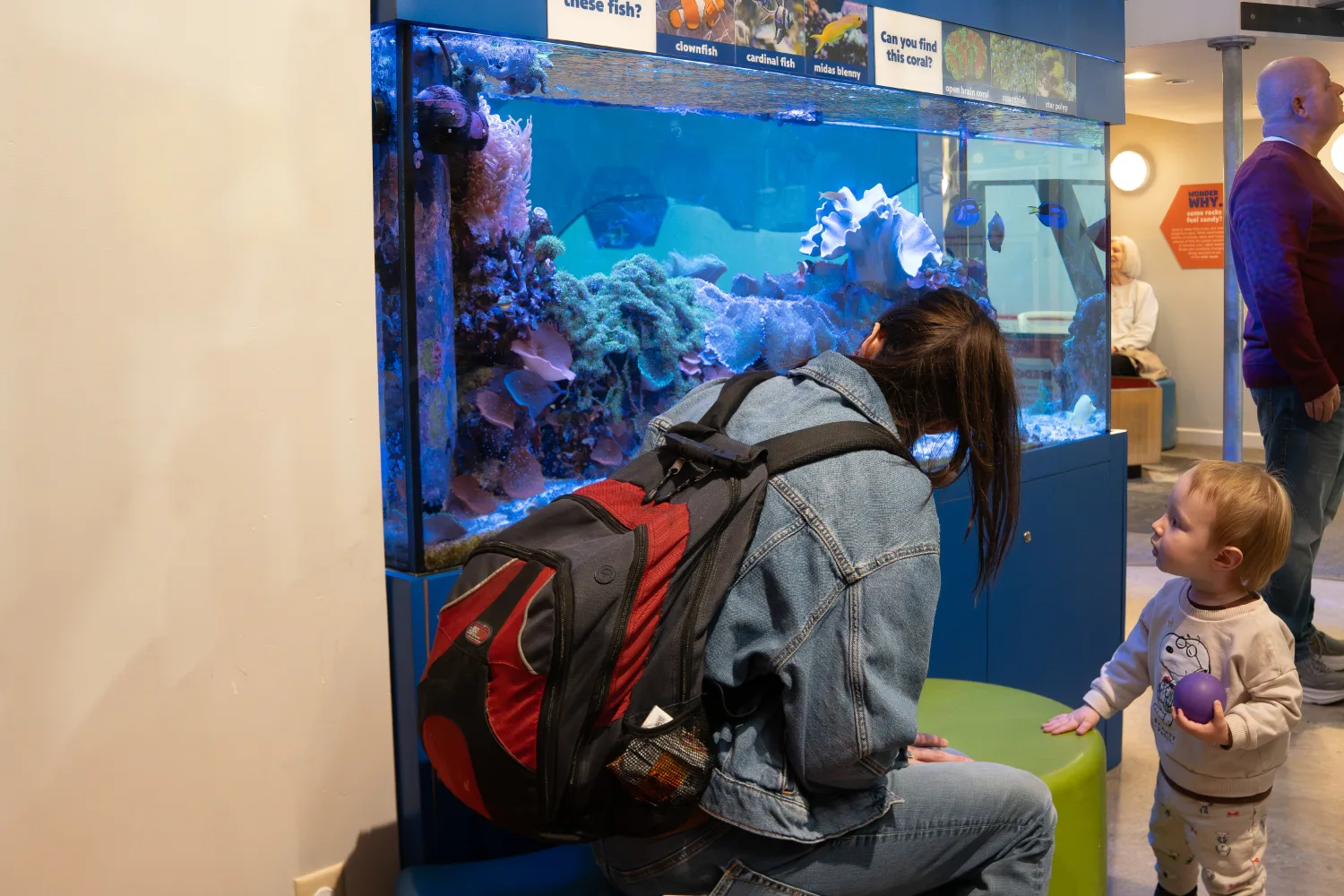 St. Louis Magazine's St. Louis Family Playdate at The Magic House