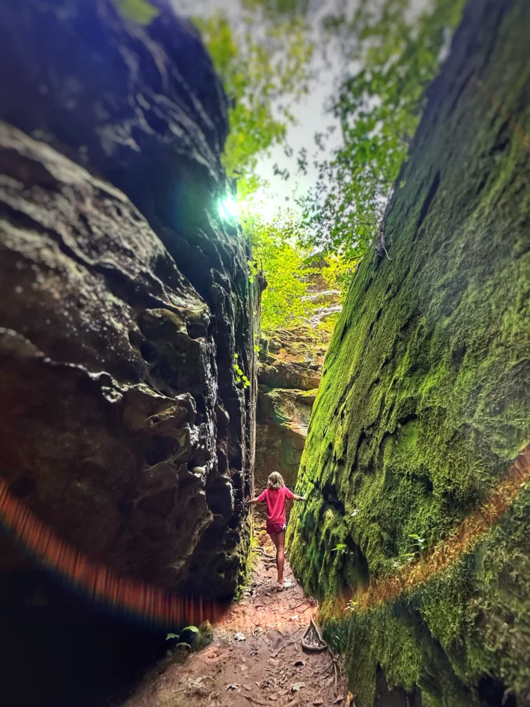 Hiking through Shawnee National Forest